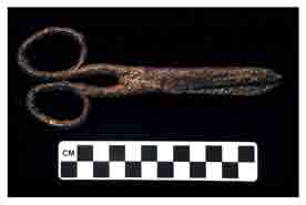 Fig. 1: Scissors, 23CN1, Feature 2, 2004