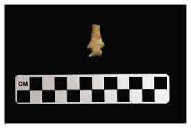 Fig. 1: Reed projectile point, 23CN571, 2007