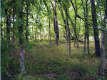 Section of White River Road.