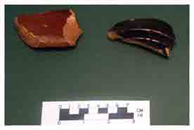 Fig. 1: American Stoneware, 23CN571, 2005
