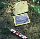 Grave marker at Wilson Cemetery.